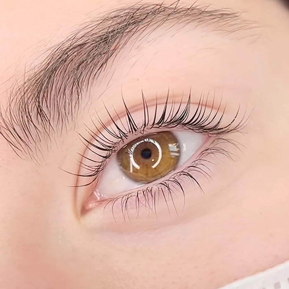 DLUX Pro Lash Lifting Isolation Tool - Stainless Steel 4