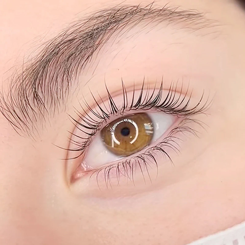 DLUX Pro Illumination Lash Lift Silicone Pads - 5 Pairs 10